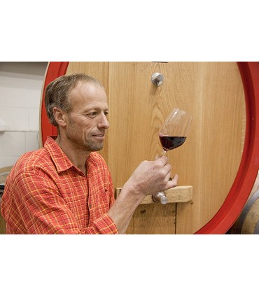 Riesling Valle Isarco
