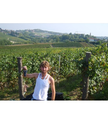 Freisa d'Asti Covento